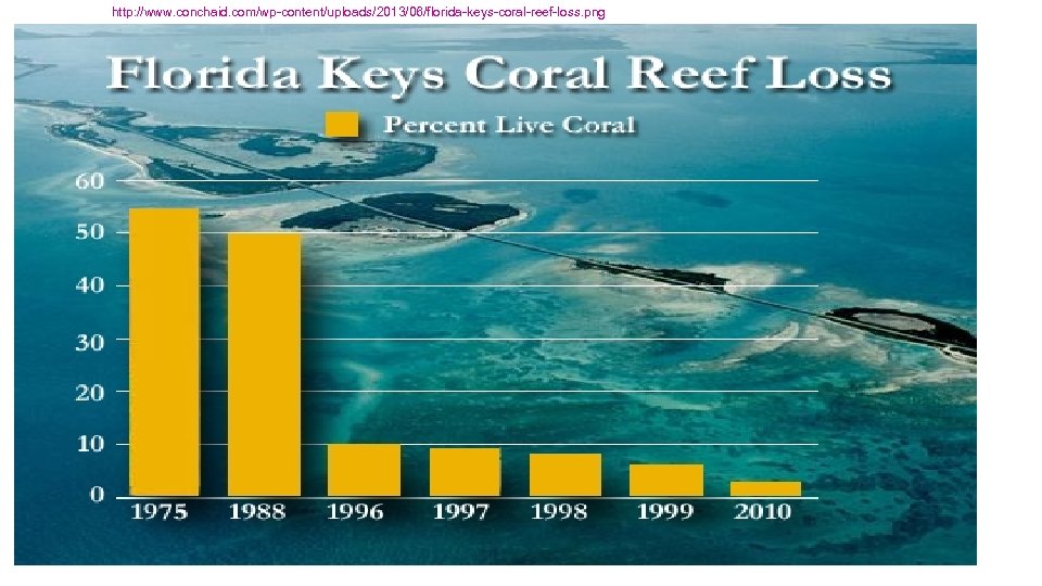 http: //www. conchaid. com/wp-content/uploads/2013/06/florida-keys-coral-reef-loss. png 