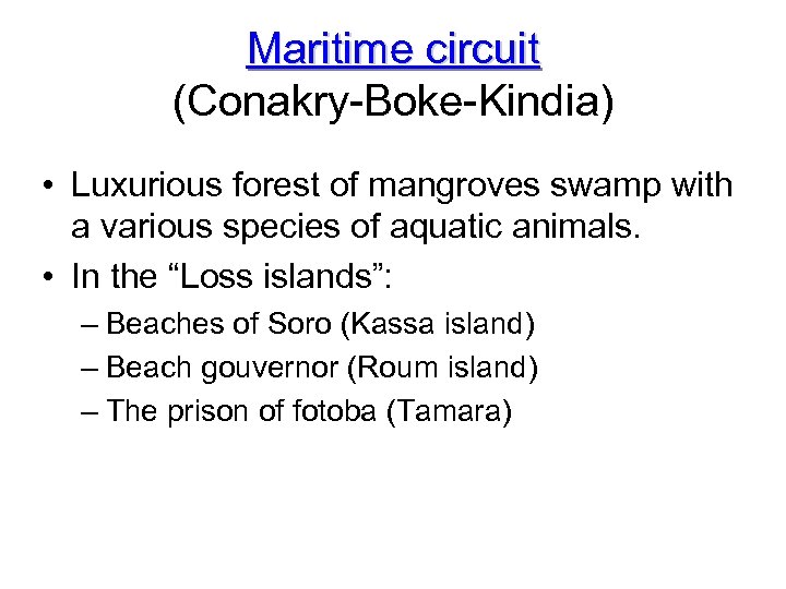 Maritime circuit (Conakry-Boke-Kindia) • Luxurious forest of mangroves swamp with a various species of