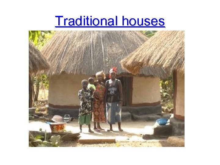 Traditional houses 