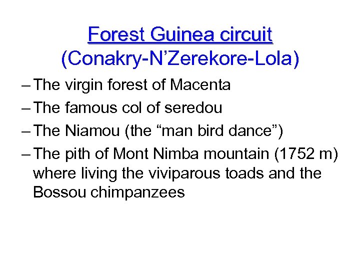 Forest Guinea circuit (Conakry-N’Zerekore-Lola) – The virgin forest of Macenta – The famous col