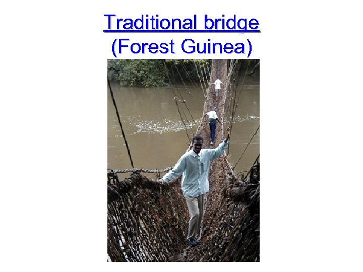 Traditional bridge (Forest Guinea) 