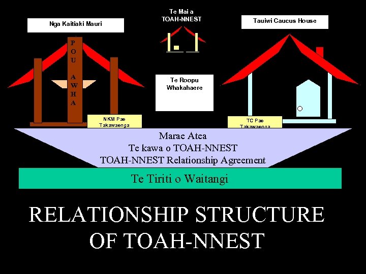 Nga Kaitiaki Mauri Te Mai a TOAH-NNEST Tauiwi Caucus House P O U A