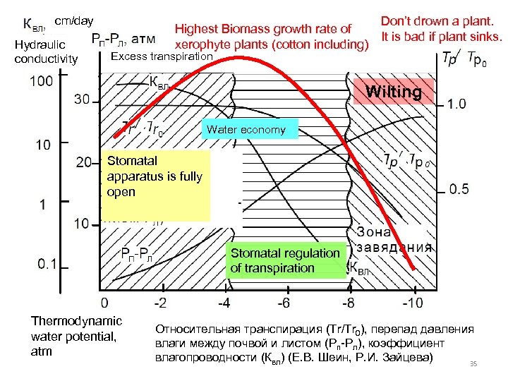 cm/day Hydraulic conductivity Don’t drown a plant. Highest Biomass growth rate of It is