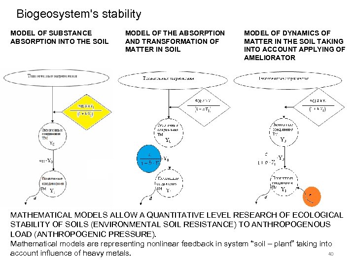 Biogeosystem's stability MODEL OF SUBSTANCE ABSORPTION INTO THE SOIL MODEL OF THE ABSORPTION AND