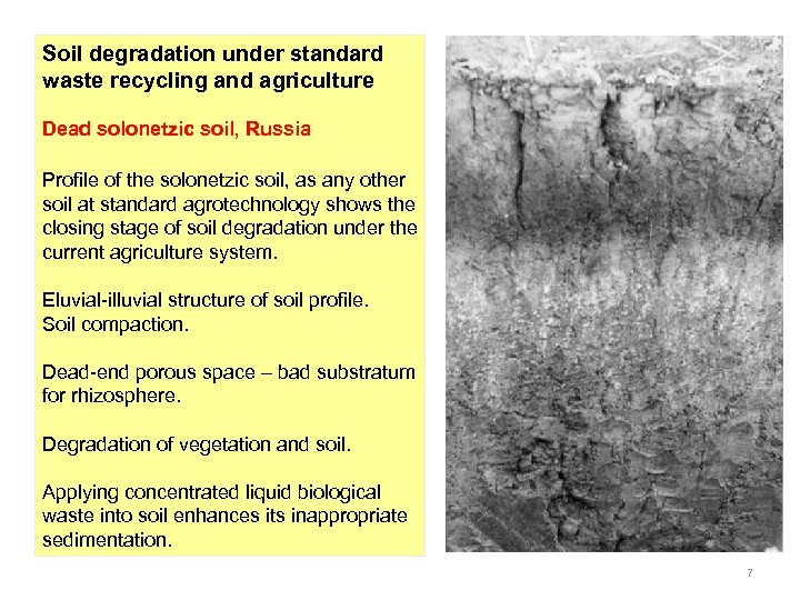 Soil degradation under standard waste recycling and agriculture Dead solonetzic soil, Russia Profile of