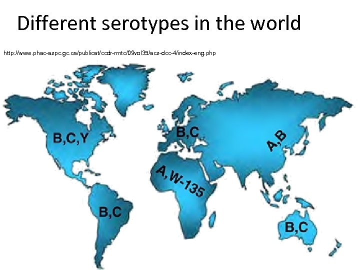 Different serotypes in the world http: //www. phac-aspc. gc. ca/publicat/ccdr-rmtc/09 vol 35/acs-dcc-4/index-eng. php 