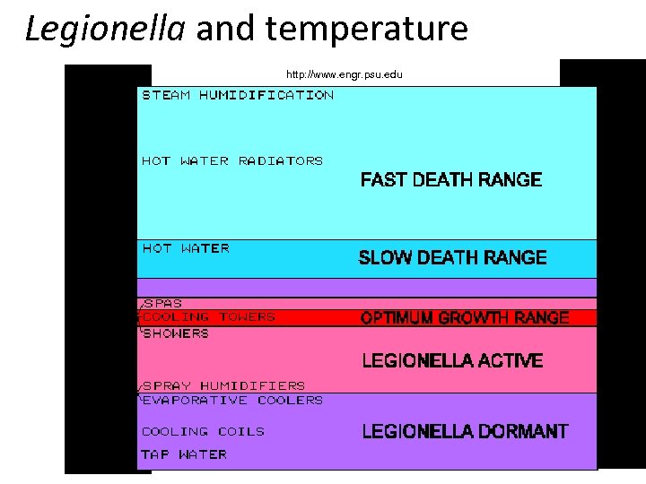 Legionella and temperature http: //www. engr. psu. edu 