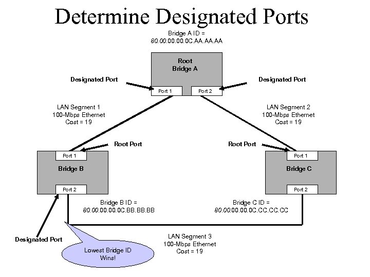 Determine Designated Ports Bridge A ID = 80. 00. 0 C. AA. AA Root