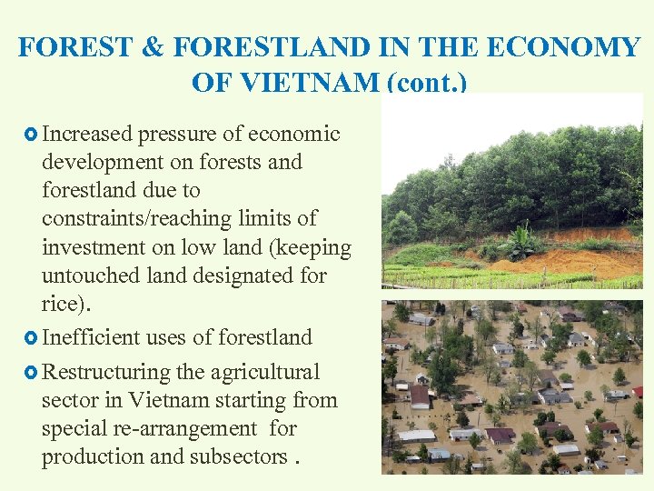 FOREST & FORESTLAND IN THE ECONOMY OF VIETNAM (cont. ) Increased pressure of economic