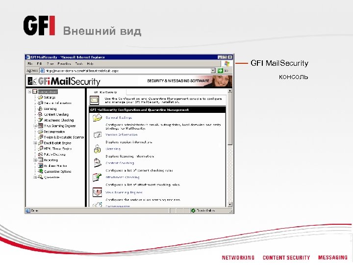 Внешний вид GFI Mail. Security консоль 