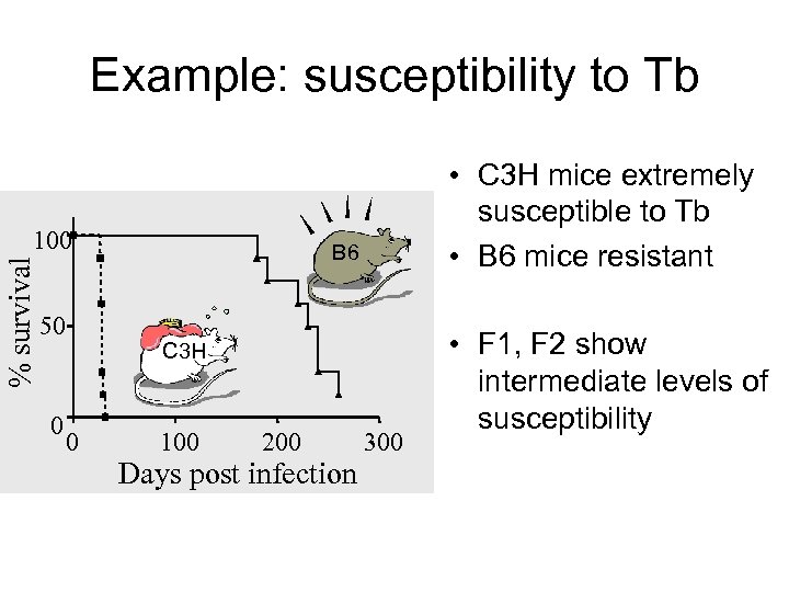 Example: susceptibility to Tb % survival 100 50 0 • C 3 H mice