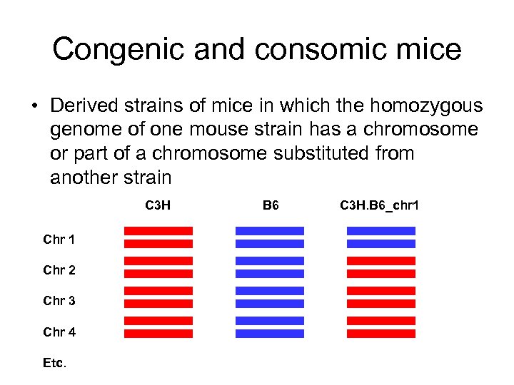 Congenic and consomic mice • Derived strains of mice in which the homozygous genome