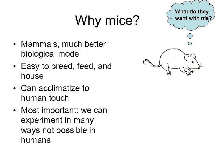 Why mice? • Mammals, much better biological model • Easy to breed, feed, and