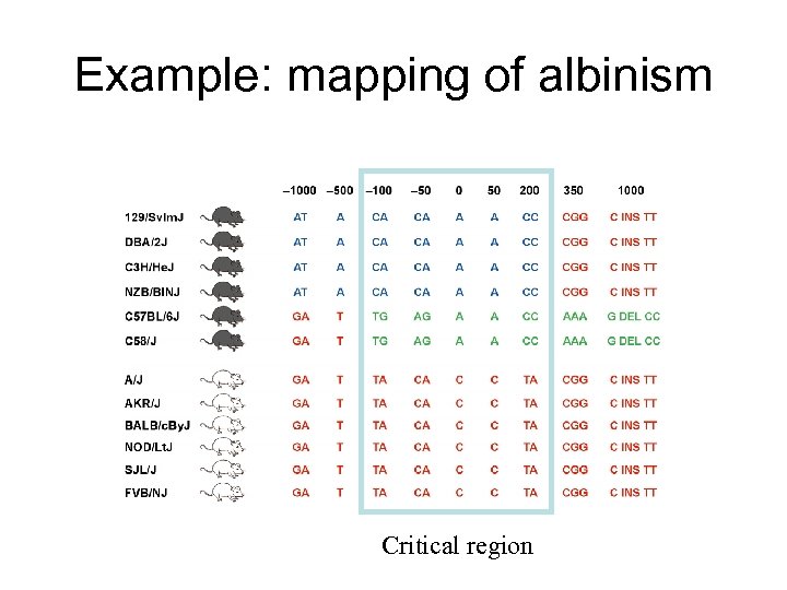 Example: mapping of albinism Critical region 