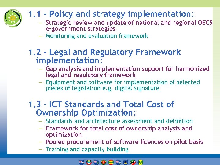 1. 1 - Policy and strategy implementation: – Strategic review and update of national