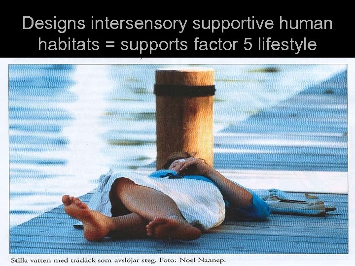 Designs intersensory supportive human habitats = supports factor 5 lifestyle 