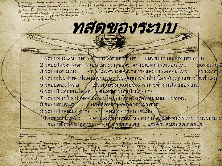 ทสดของระบบ 1. ระบบทางเดนอาหาร - การดดซมสารอาหาร และขบถายกากอาหารออก 2. ระบบโครงกระดก - เปนโครงรางของรางกายและการเคลอนไหว ผลตเมดเลอ 3. ระบบกลามเนอ -