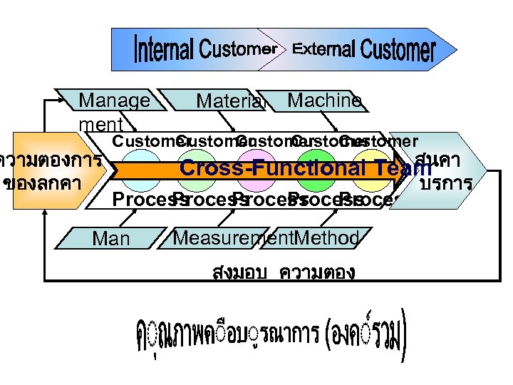 Manage ment ความตองการ ของลกคา Material Machine Customer Customer สนคา Cross-Functional Team Process Process Man