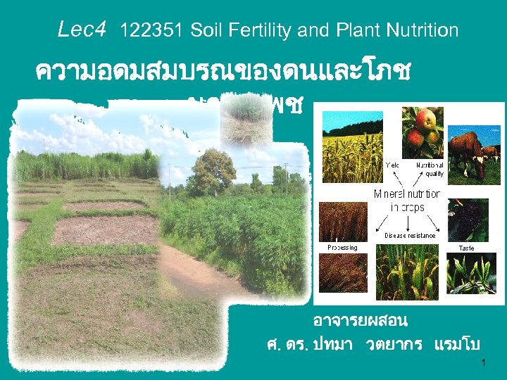 Lec 4 122351 Soil Fertility and Plant Nutrition ความอดมสมบรณของดนและโภช นาการพช อาจารยผสอน ศ. ดร. ปทมา