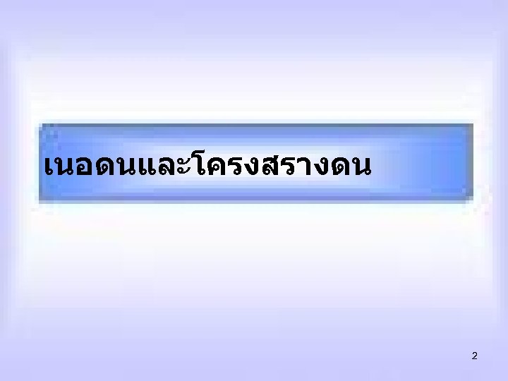 เนอดนและโครงสรางดน 2 