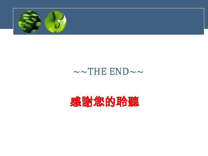 ~~THE END~~ 感謝您的聆聽 