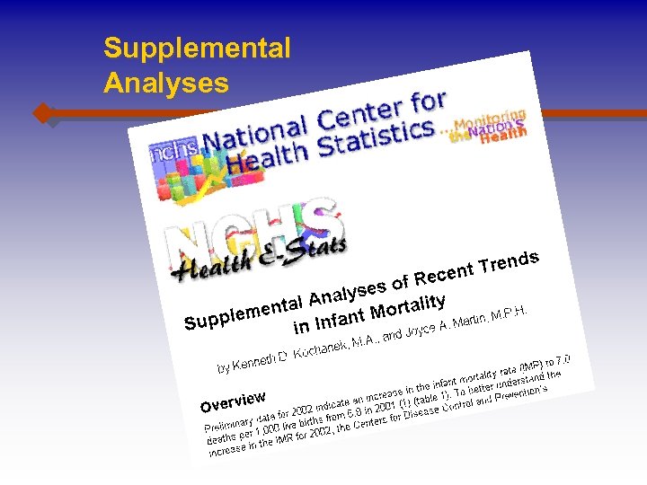 Supplemental Analyses 