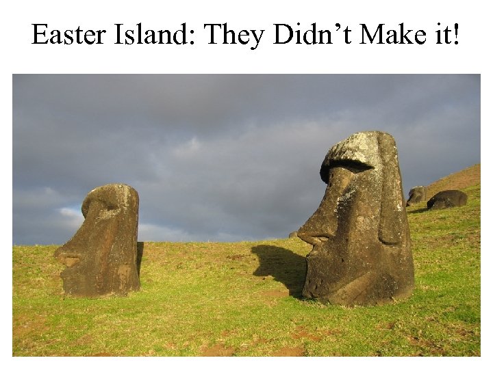 Easter Island: They Didn’t Make it! 