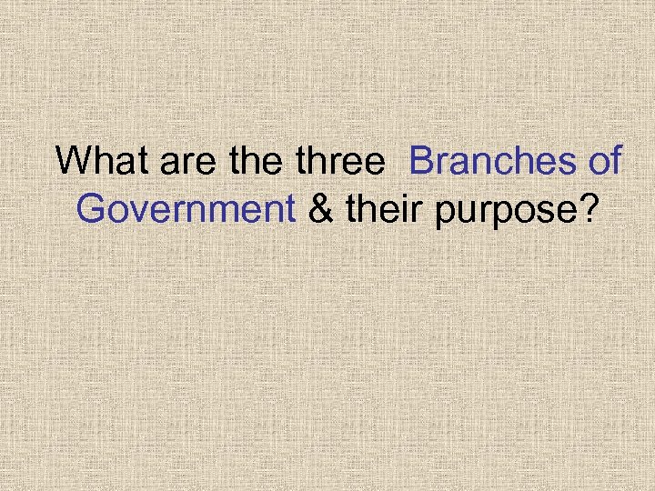 What are three Branches of Government & their purpose? 