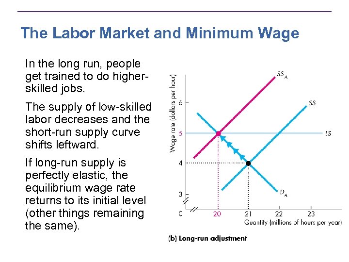 The Labor Market and Minimum Wage In the long run, people get trained to