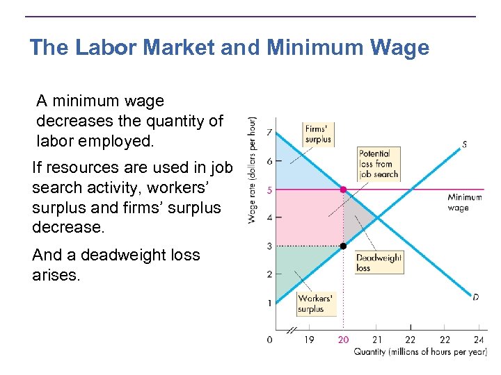 The Labor Market and Minimum Wage A minimum wage decreases the quantity of labor