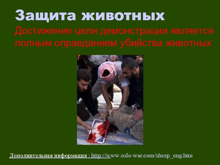 Защита животных Достижение цели демонстрации является полным оправданием убийства животных Дополнительная информация : http: