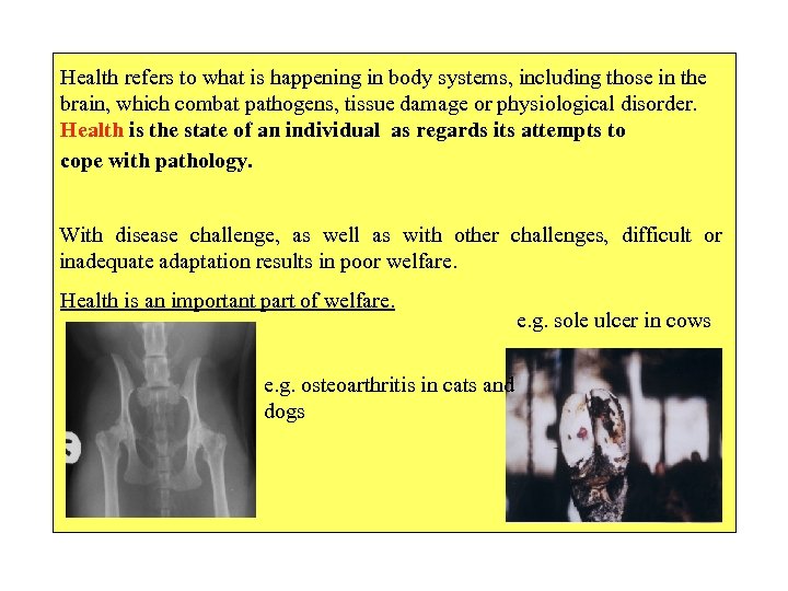 Health refers to what is happening in body systems, including those in the brain,