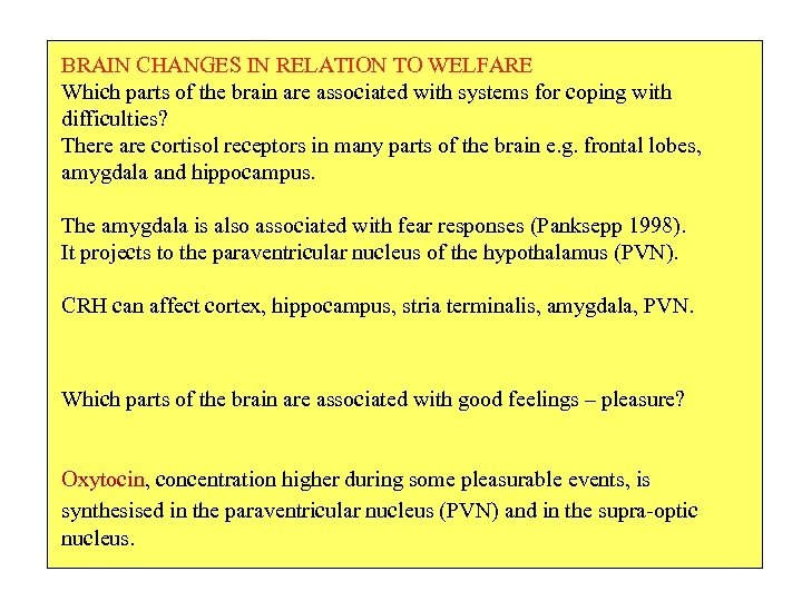 BRAIN CHANGES IN RELATION TO WELFARE Which parts of the brain are associated with