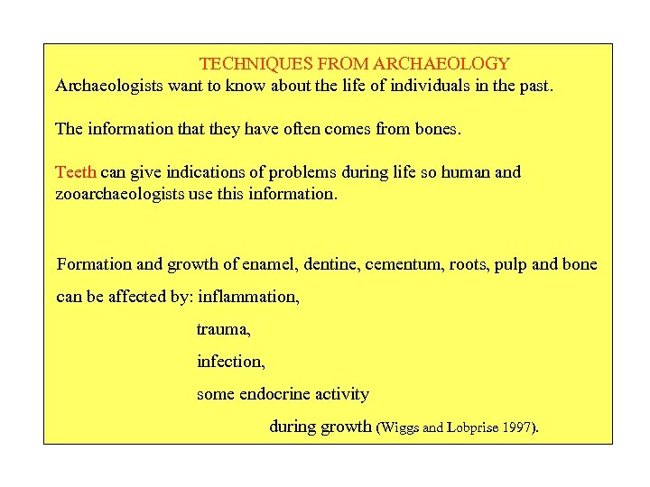  TECHNIQUES FROM ARCHAEOLOGY Archaeologists want to know about the life of individuals in