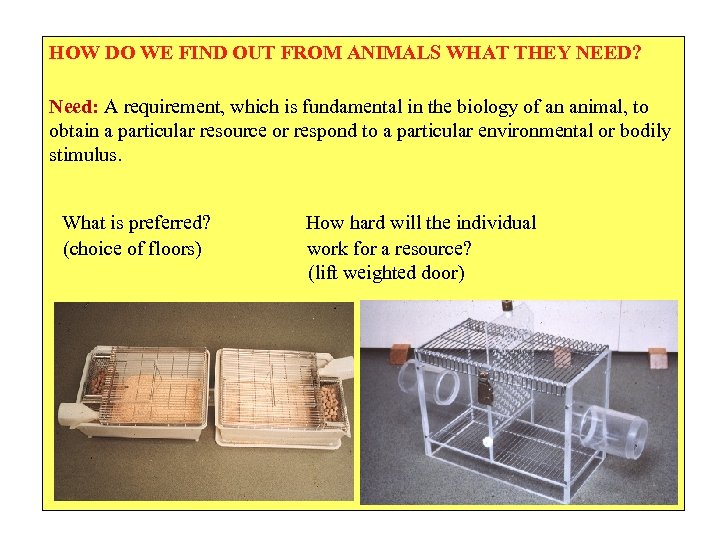 HOW DO WE FIND OUT FROM ANIMALS WHAT THEY NEED? Need: A requirement, which