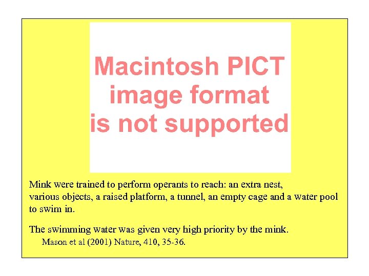 Mink were trained to perform operants to reach: an extra nest, various objects, a