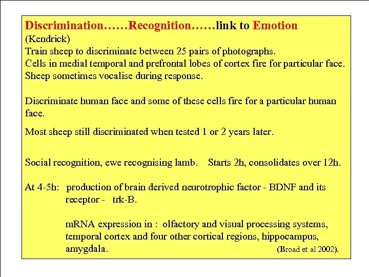 Discrimination……Recognition……link to Emotion (Kendrick) Train sheep to discriminate between 25 pairs of photographs. Cells
