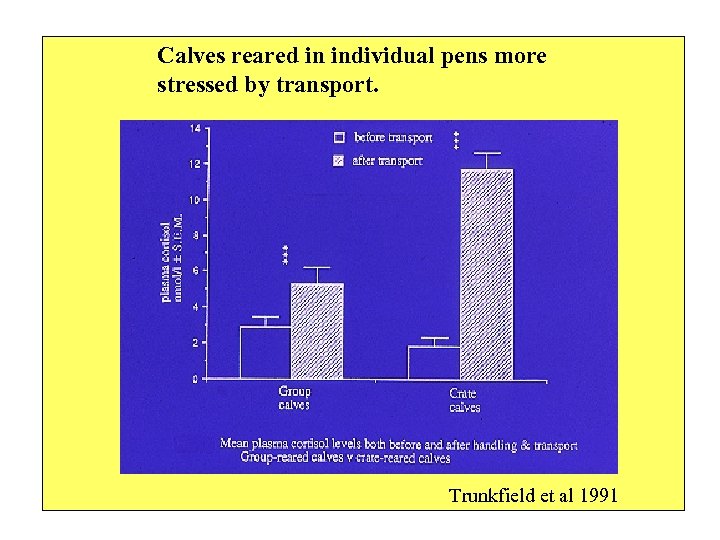 Calves reared in individual pens more stressed by transport. Trunkfield et al 1991 