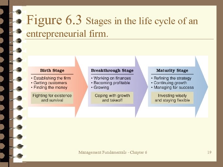 Figure 6. 3 Stages in the life cycle of an entrepreneurial firm. Management Fundamentals