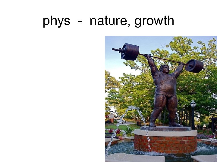 phys - nature, growth 