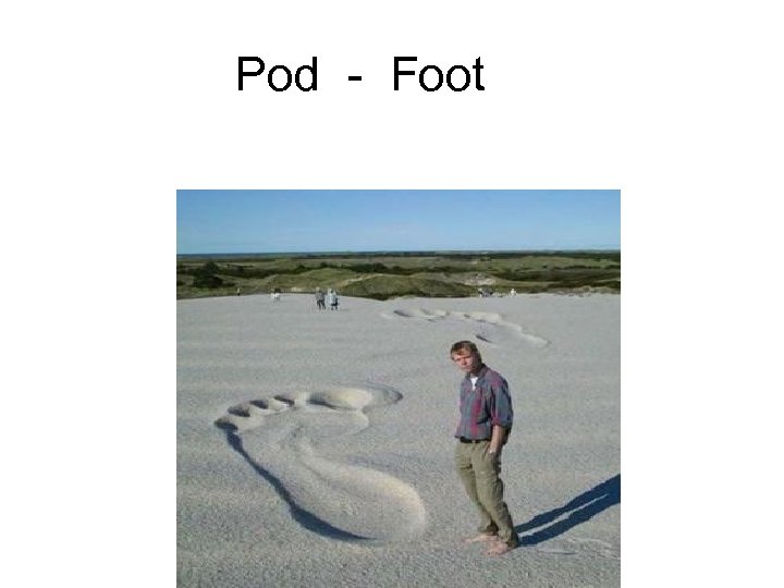 Pod - Foot 