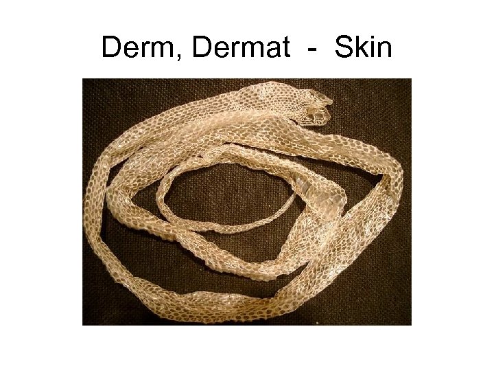 Derm, Dermat - Skin 