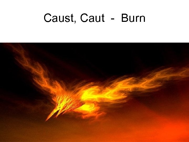 Caust, Caut - Burn 