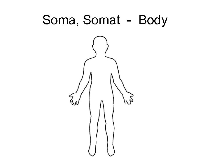 Soma, Somat - Body 