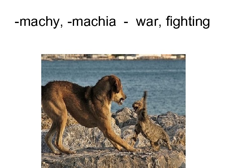 -machy, -machia - war, fighting 