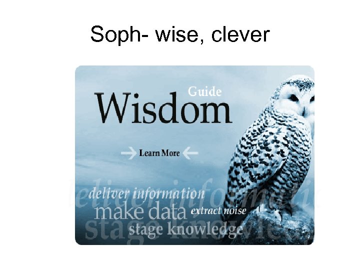 Soph- wise, clever 