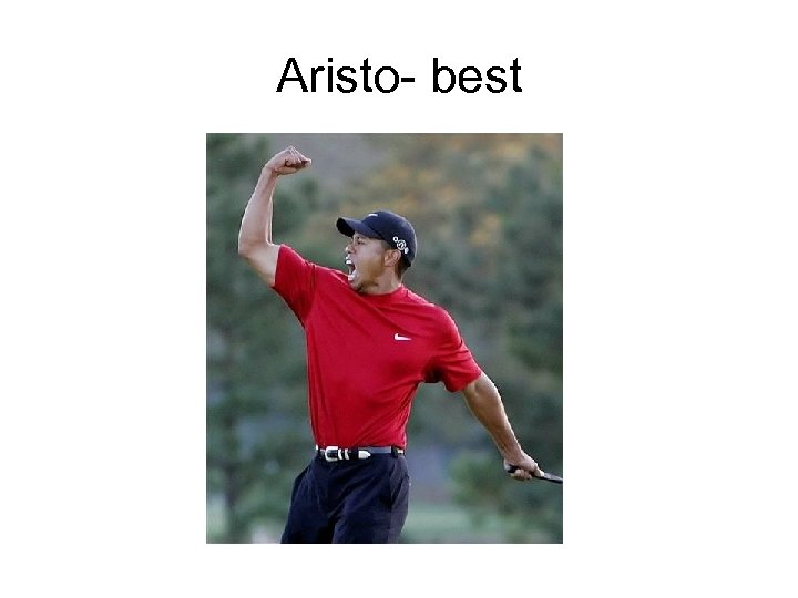 Aristo- best 