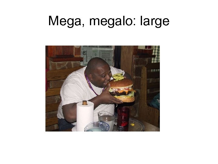 Mega, megalo: large 