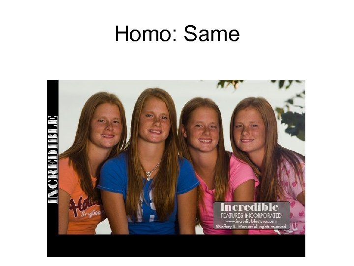 Homo: Same 