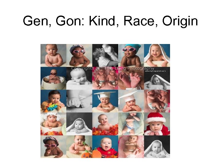 Gen, Gon: Kind, Race, Origin 